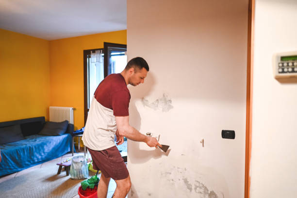 Trusted Ely, IA Mold Remediation Experts
